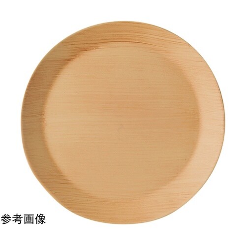 26.1cm リム付サークルプレート 和