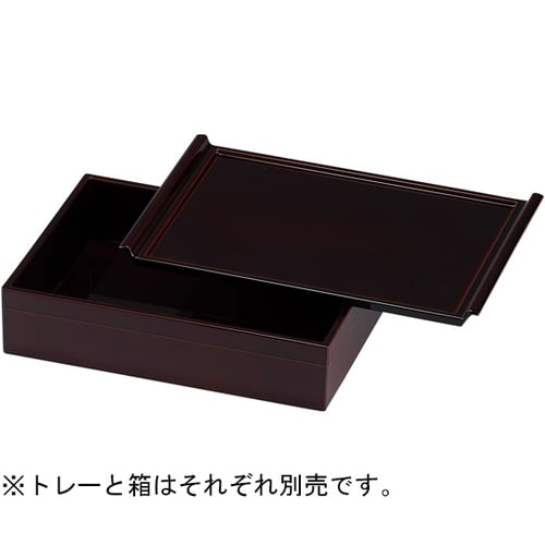 22cm フライトカスタートレ溜SH塗