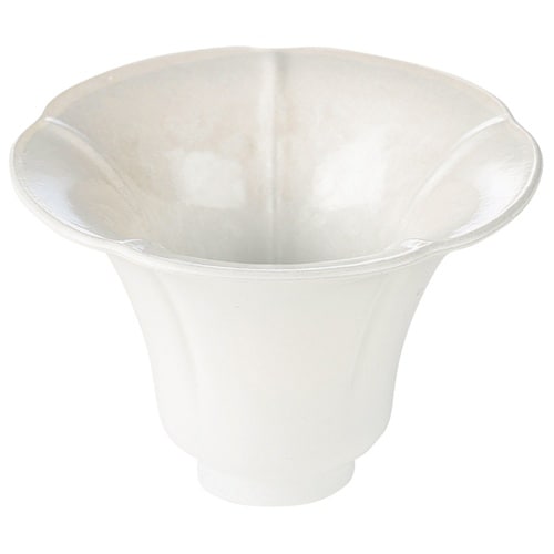 朝顔珍味 アクアホワイト 5520497