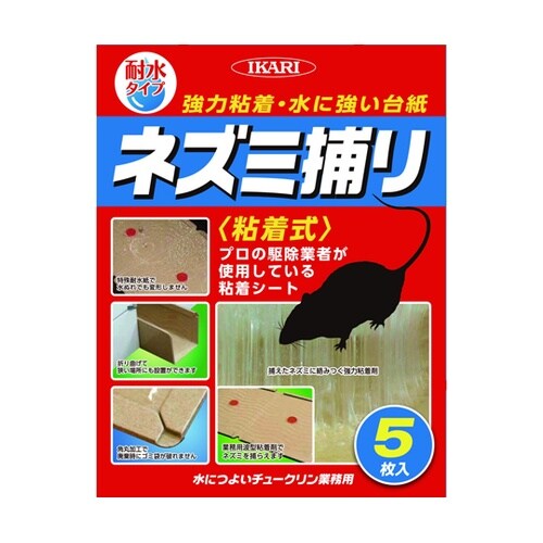 水に強いチュークリン業務用 1箱(5個入