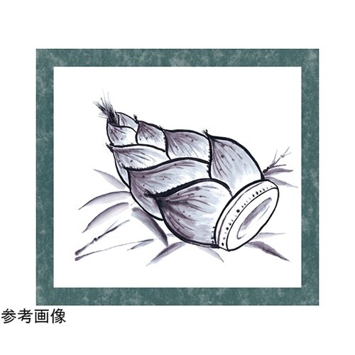 水墨画個人セット 展示台紙付 12659