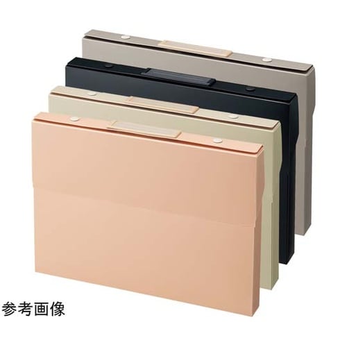 Roomy ケースファイル A4 ベージ