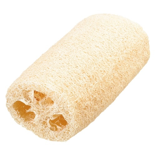 天然ヘチマ SS No.10837