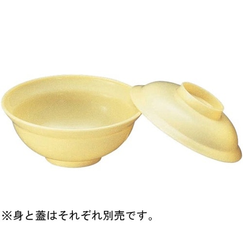 飯丼(身)クリーム DP−1B