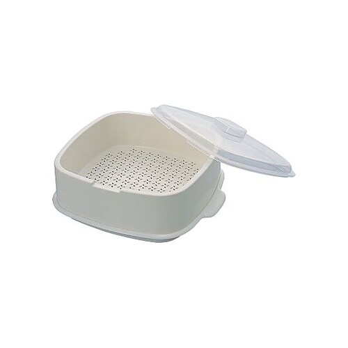 むし太郎 大1段