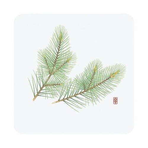 和風コースター 四季 角型(50枚入)W