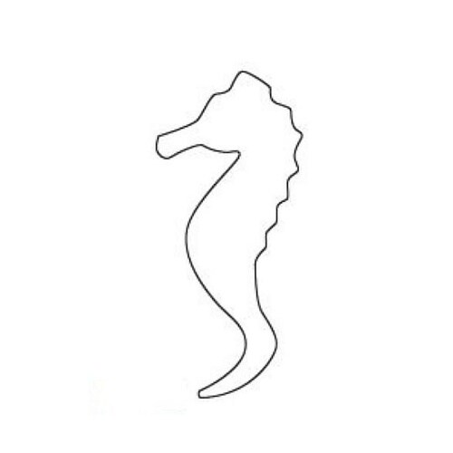 たかもりの野菜抜タツノオトシゴ 小 07