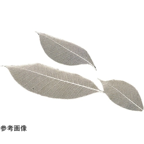 すかし木の葉(S)(100枚入) 243