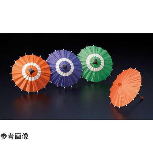 蛇ノ目傘B(中)紫 (1本) 64136