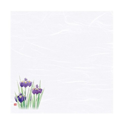 4寸四季彩雲竜敷紙 菖蒲(4月ー5月)