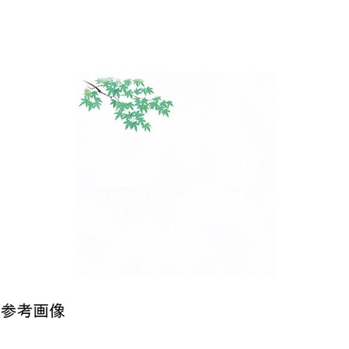 花宴耐油天紙 青もみじ(4月ー8月) 5