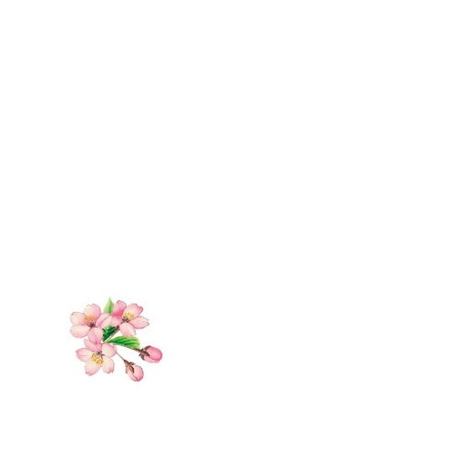 花舞 ミニ耐油天紙 桜(3月ー4月)(1