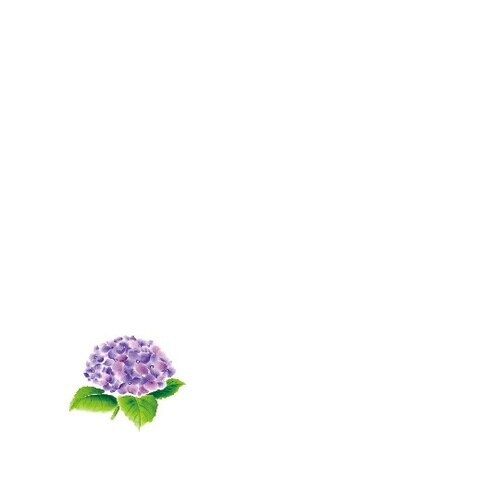 花舞 ミニ耐油天紙 紫陽花(6月ー7月)