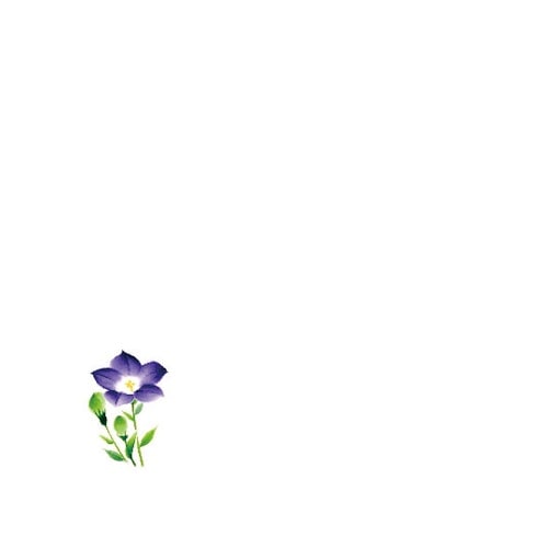 花舞 ミニ耐油天紙 桔梗(8月ー9月)(