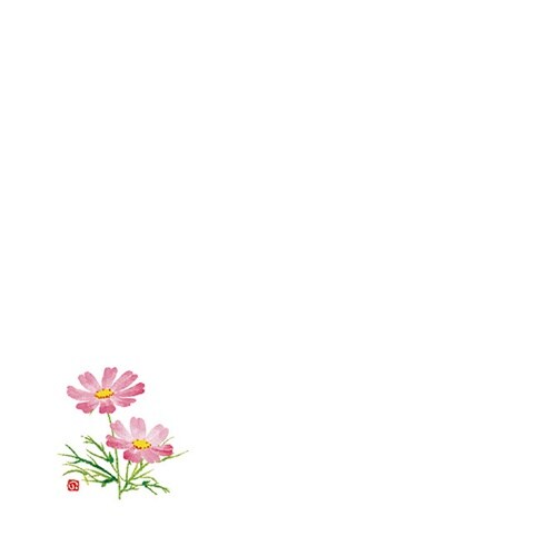 花舞 ミニ耐油天紙 こすもす(8月ー9月