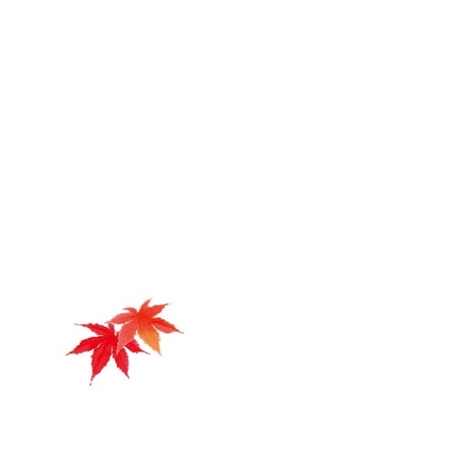 花舞 ミニ耐油天紙 赤もみじ(10月ー1