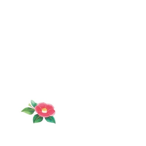 花舞 ミニ耐油天紙 椿(11月ー2月)(