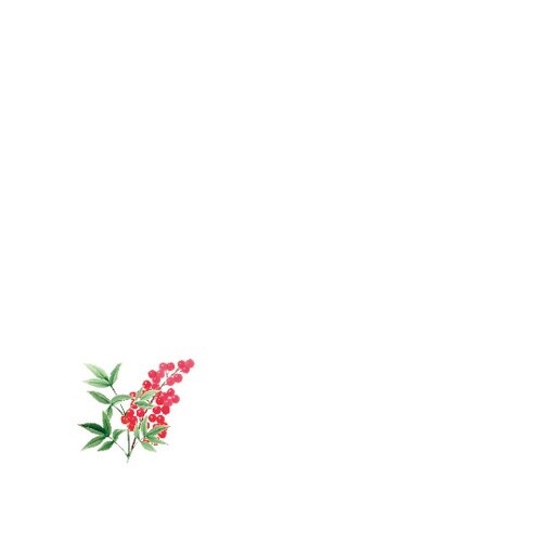花舞 ミニ耐油天紙 南天(12月ー1月)