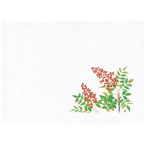 遠赤保鮮紙(小)南天(12月ー1月)(1