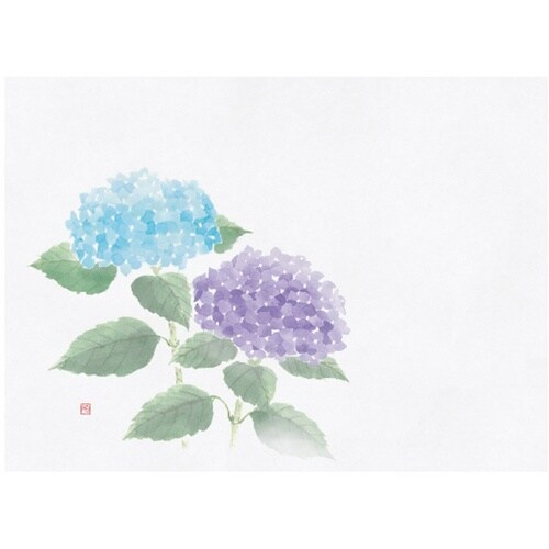 四季彩鮮度保持紙 紫陽花(6月ー7月)(