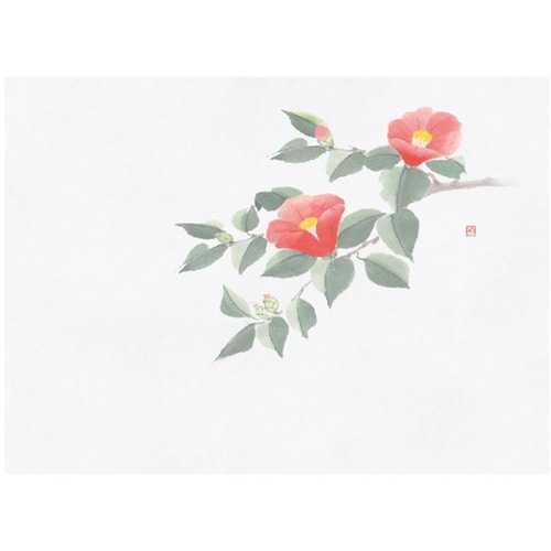 四季彩鮮度保持紙 椿(11月ー2月)(1