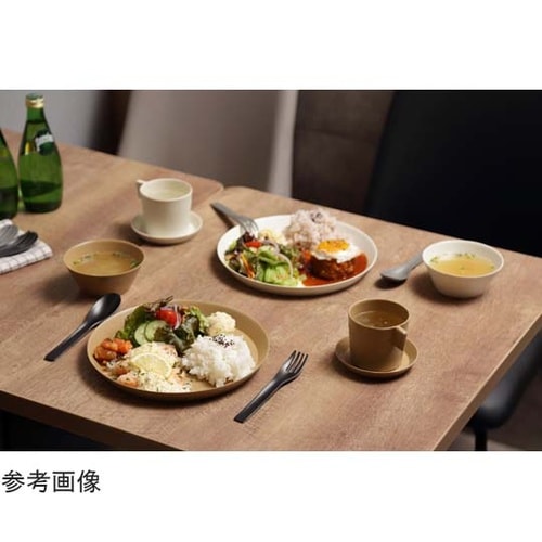 ウスモノ プレート24 ソイルベージュ