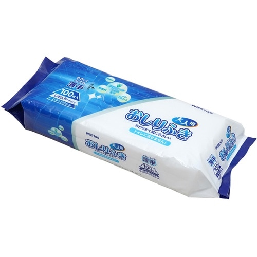 おしりふき 大人用 100枚入 薄手 レ
