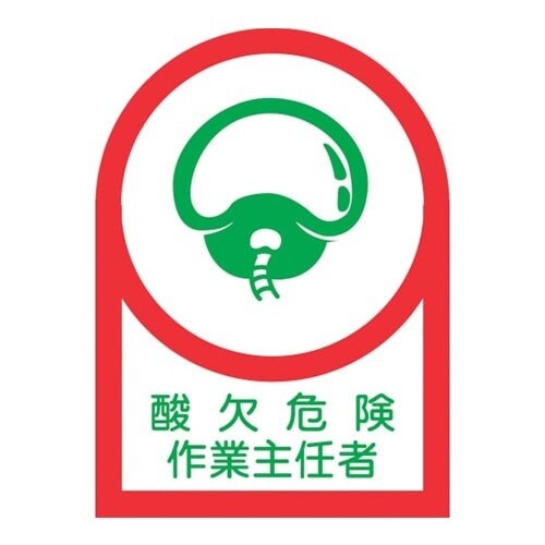 EA983AN−14B 35x25mm ヘルメット