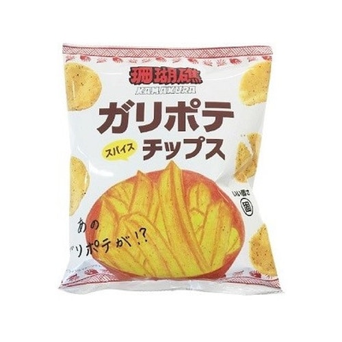 ガリポテスパイスチップス x10個