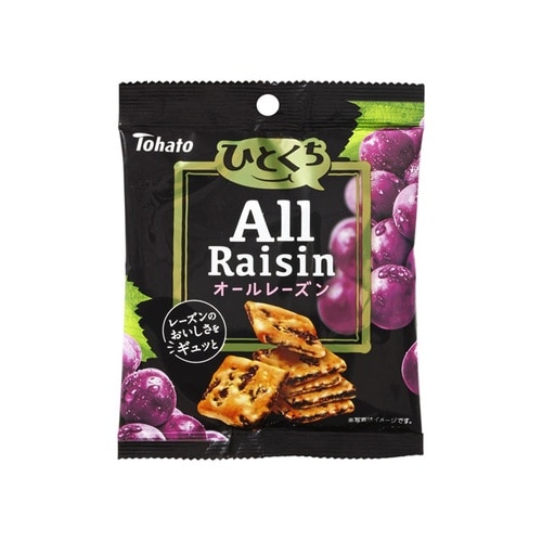 ひとくち オールレーズン 45g x12個