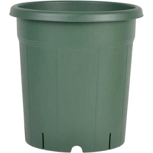 バラ鉢 8号 グリーン