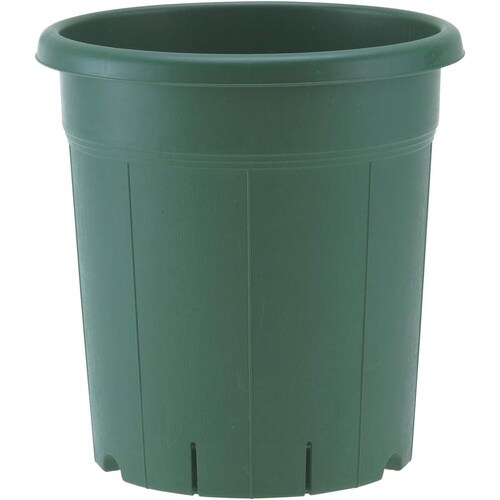 バラ鉢 12号 グリーン