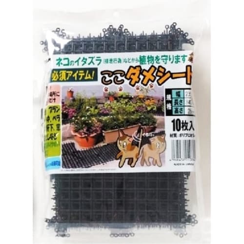 ここダメシート 10枚入