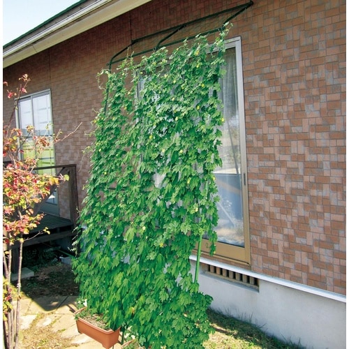 サイドロープ付 緑のカーテンネット 3.6mx5m