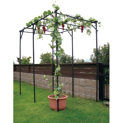 くだもの棚セット KT−M