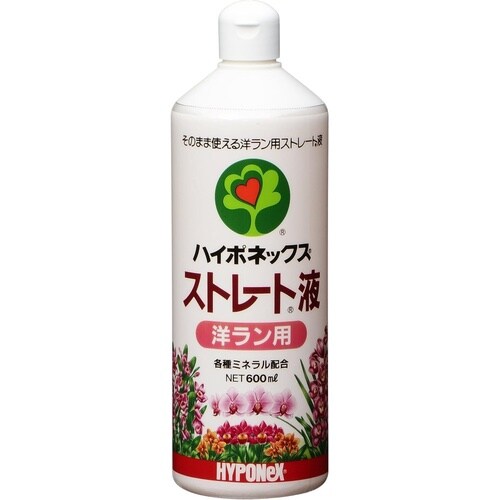 ストレート液 洋ラン用 600ml