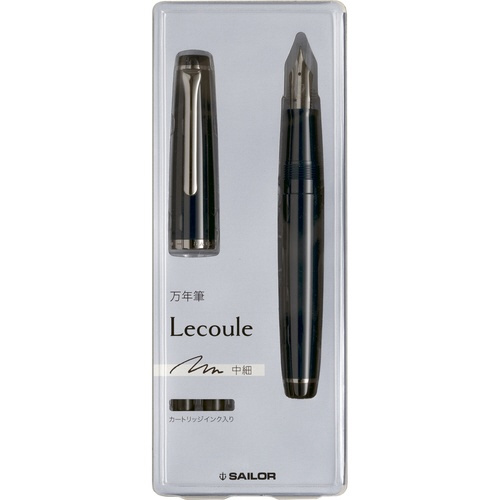 レクル万年筆 アイアンBE MF