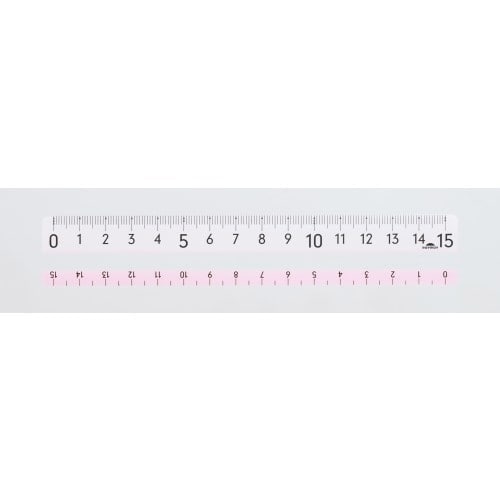 直線定規ヨクミエルーラー15cm ピンク×10