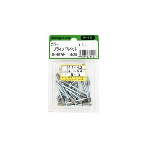 カラーブラインドリベット (5−4) 2