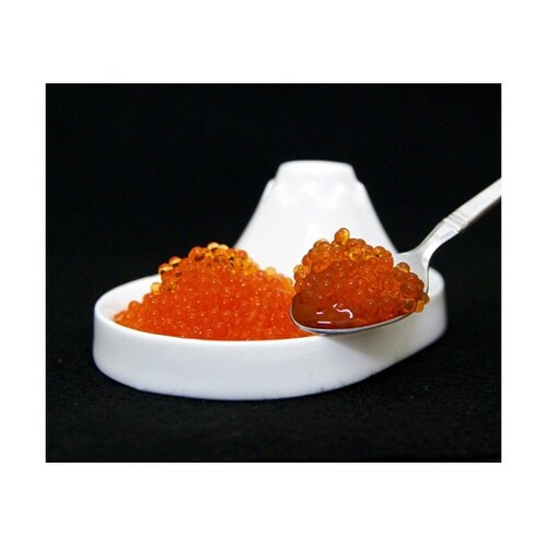 わくわくサイエンスLabo 人工いくらを