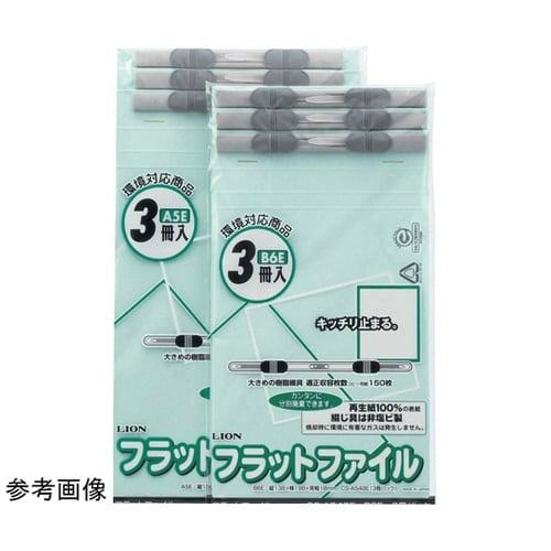 フラットファイル 1パック(3冊入) F