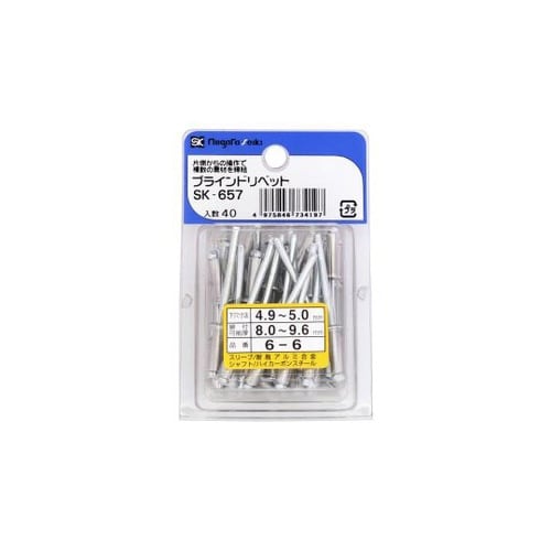 ブラインドリベット (6−6) 40本入