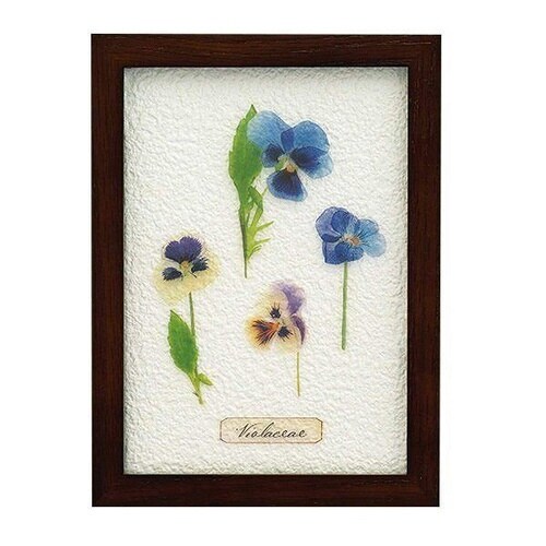 アートフレーム HERBARIUM ART