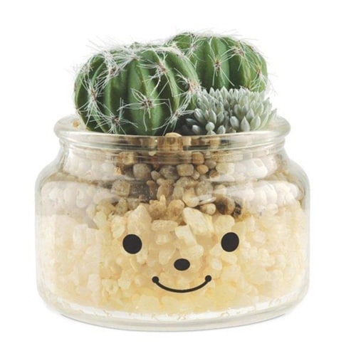 フェイクグリーン 人工観葉植物 ファミーユ