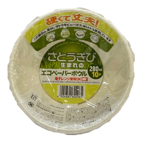 紙皿 ボウル 使い捨て 280ml 10枚入