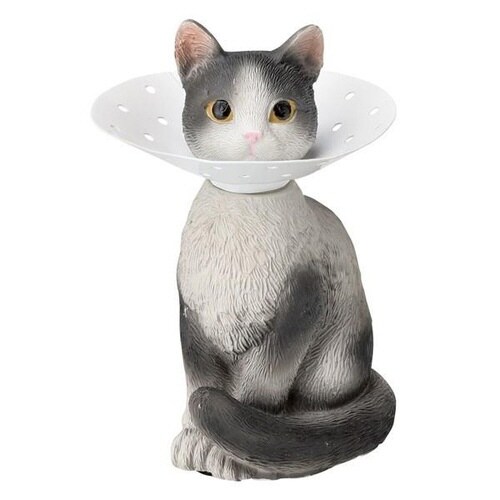 アクセサリースタンド ピアスホルダー 猫 ハチワレ