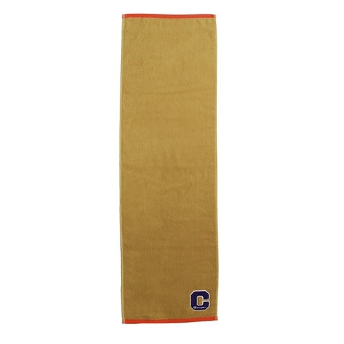 タオル スポーツタオル 34×110 ベージュ