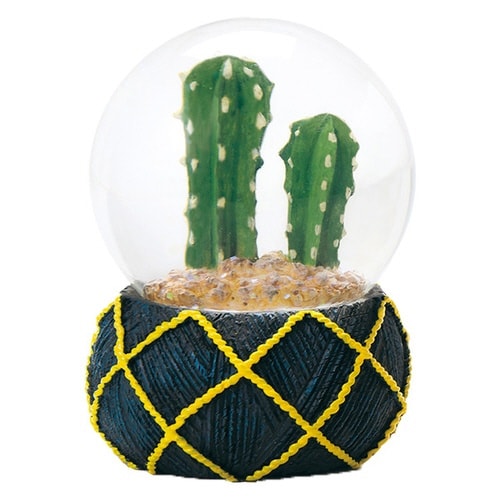 スノードーム テラリウム L 多肉植物 サボテン