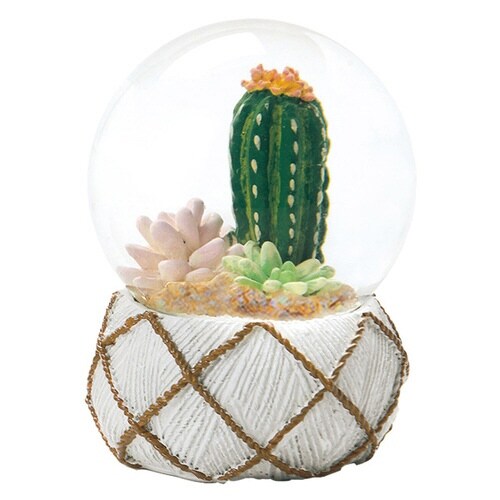 スノードーム テラリウム L 多肉植物 ミックス
