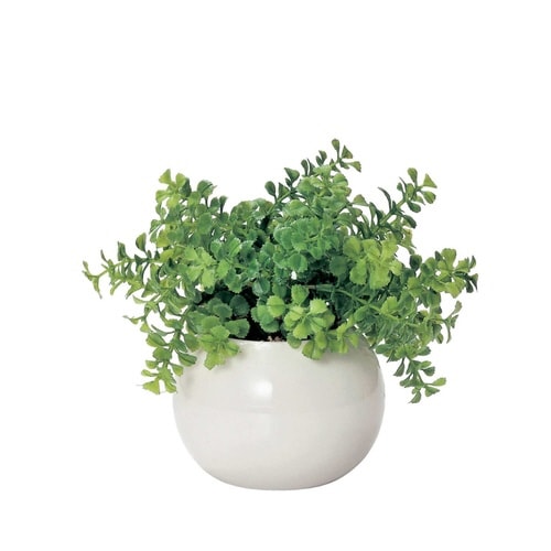 フェイクグリーン ラウンドポット ファンシェイプ